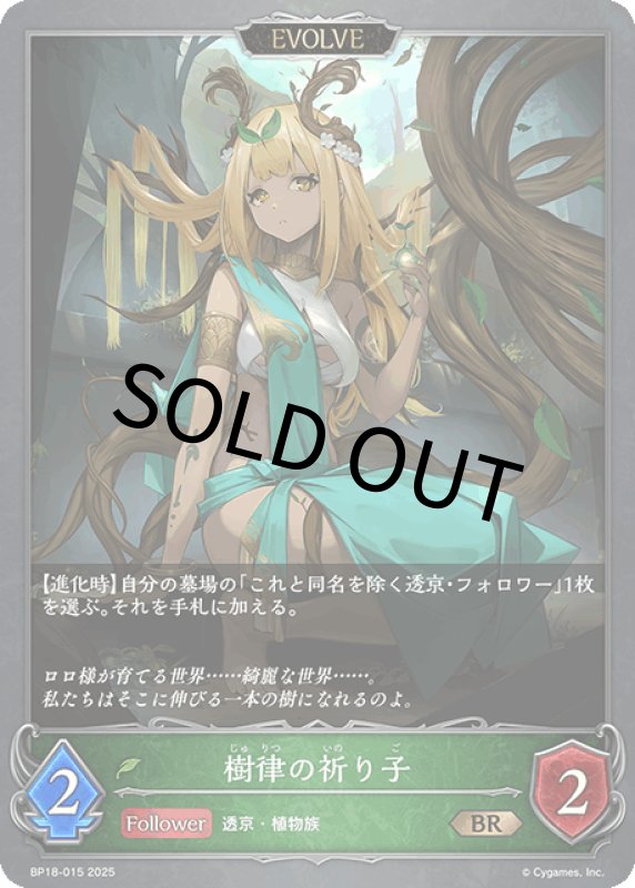 画像1: 樹律の祈り子（EVOLVE）【BR】[BP18-015] (1)
