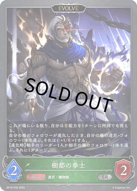 画像1: 樹都の拳士（EVOLVE）【SR・プレミアム】[BP18-P06] (1)