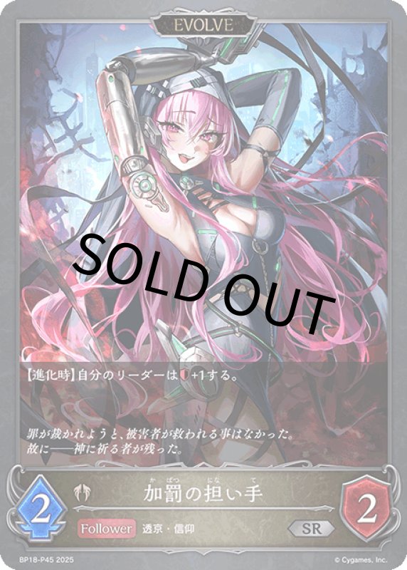 画像1: 加罰の担い手（EVOLVE）【SR・プレミアム】[BP18-P45] (1)