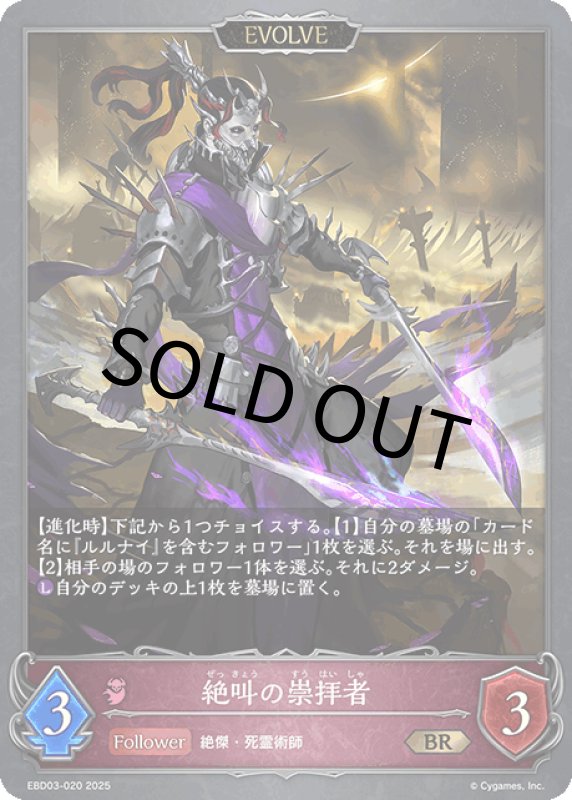 画像1: 絶叫の崇拝者（EVOLVE）【BR】[ebd03-020] (1)